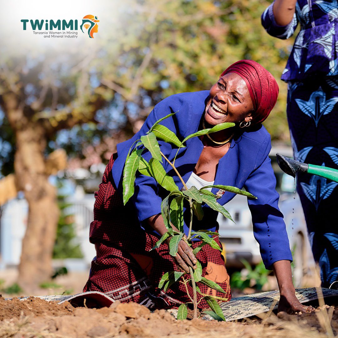 TWiMMI tweet media