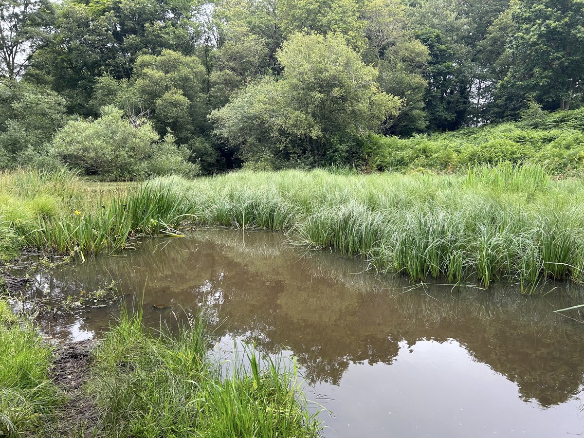 #wpcponds todays level