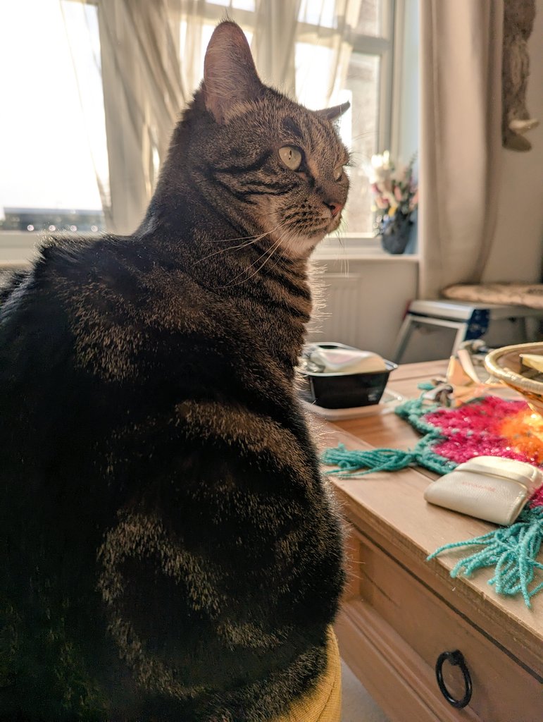 Over my shoulder
Older and older
That's what I told ya’
Over my shoulder
I'm getting colder
Is that a boulder? #TabbyTuesday