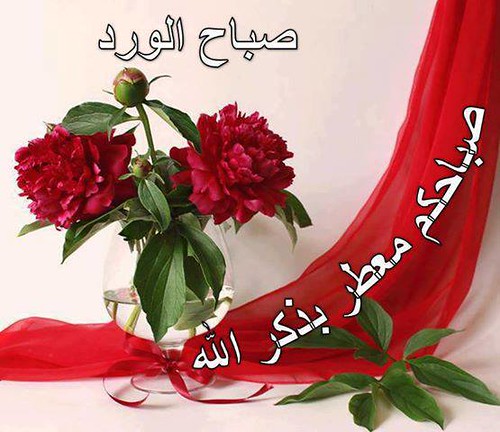 mnoool____ tweet picture