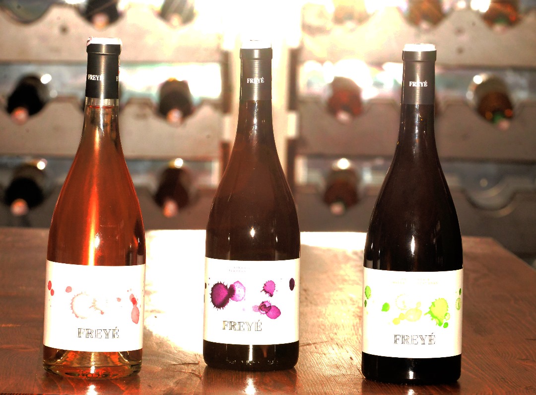 Iwacu27's tweet image. Tt's a good day to taste terrassa wines @TerrassaW 
Ese waruziko divayi ifasha mu mikorere myiza y'ubwonko!? 

iyo yari inama yo kuwakabiri .
#Terrassawines