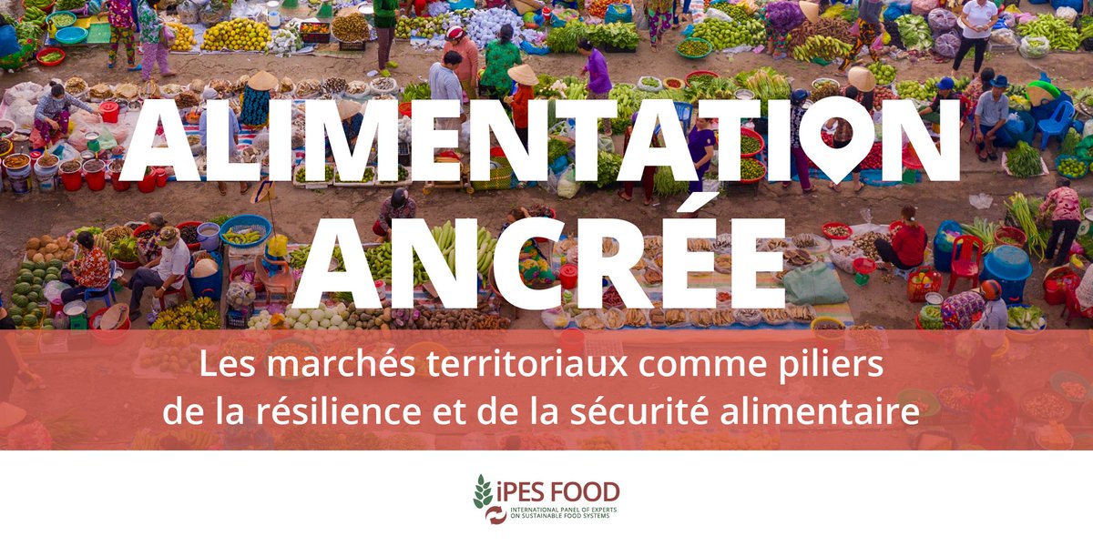 📢NOUVEAU RAPPORT
Recul dans la lutte contre la faim

🍽️📍#AlimentationAncrée montre l'importance des marchés locaux et chaînes alimentaires locales pour l’accès #alimentaire et la résilience. Découvrez les solutions proches des communautés.
👉ipes-food.org/fr/report/alim…