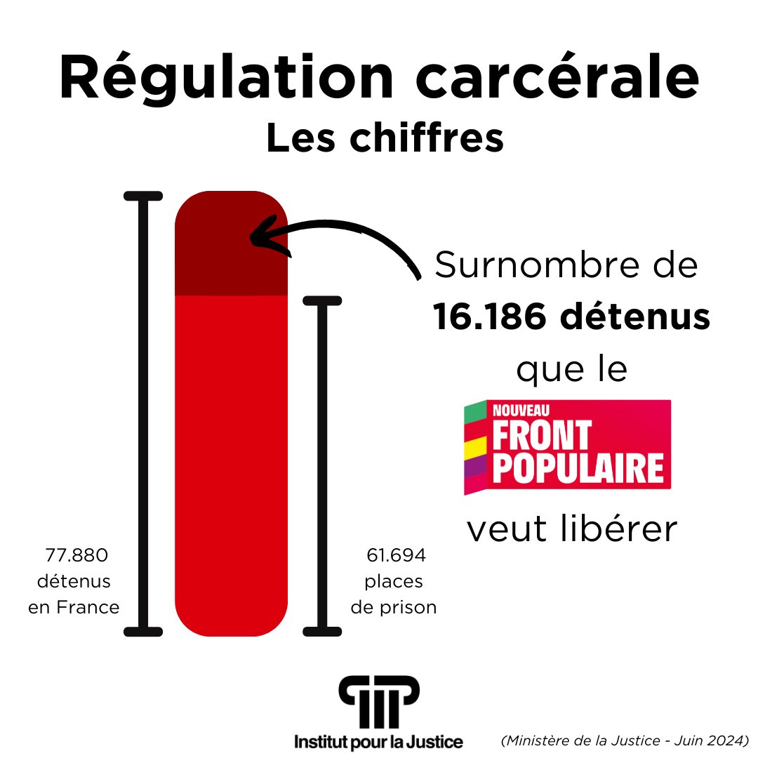Depuis des mois, les députés de gauche tentent de mettre en place la "régulation carcérale", qui ferait libérer 16 000 détenus.

Cette mesure est reprise par le Nouveau Front Populaire, qui a annoncé vouloir "agir contre la surpopulation carcérale".

Non seulement, ce serait une