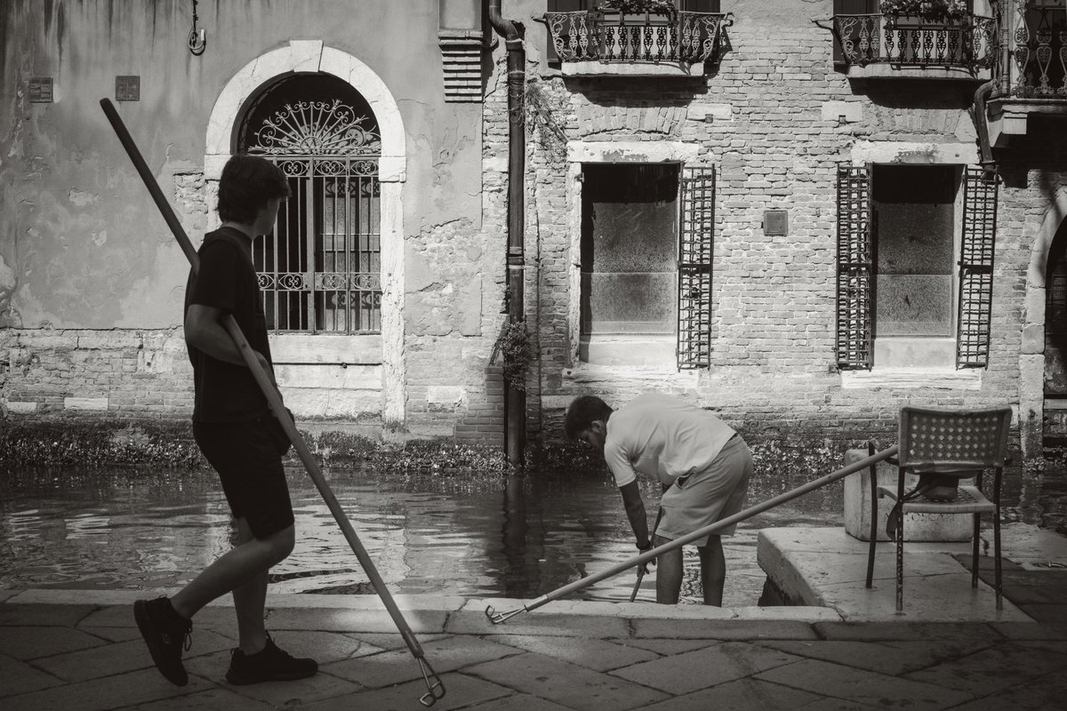 Dgdave76's tweet photo. I "ganser" 2.0
#venice #venezia #streetphotography #mestieri #tradizioni #leica #35mm #Monochrome #manualfocus https://t.co/S34f8oKY3U