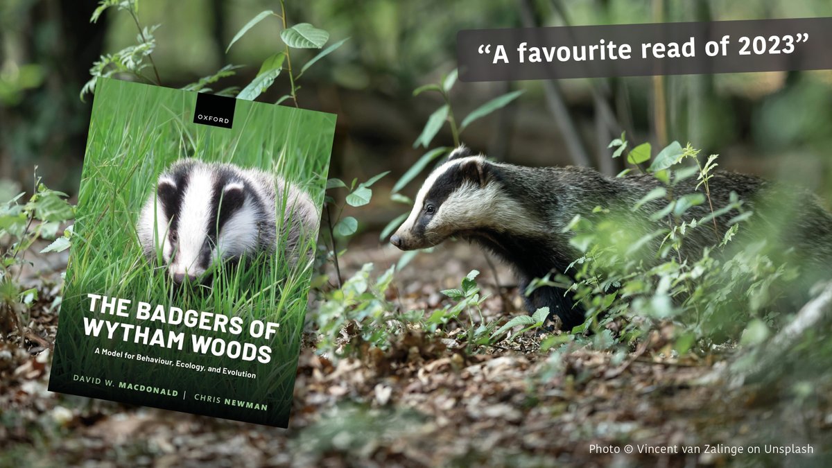WildCRU_Ox's tweet photo. "You can find anything you want to know about badgers in this book, and it is written in a way that wealth of detail is not intimidating."
The #Badgers of #Wytham #Woods is chosen as a favourite read of 2023: see https://t.co/jcRLW7peHK.
Available from: https://t.co/QhE5fgsyG3 https://t.co/epU4TSTsJr