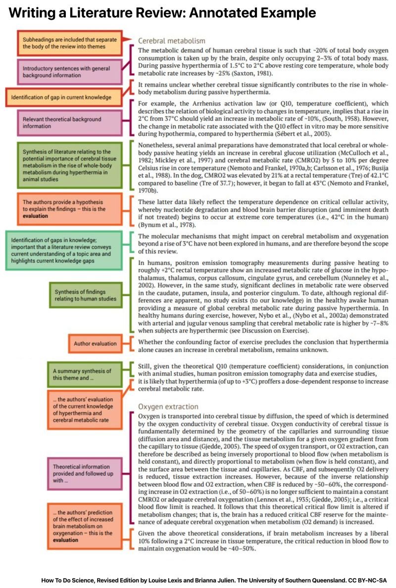 Writing a literature review (annotated example)