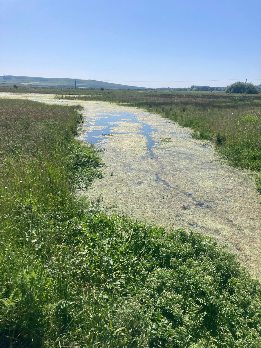 Railway Land Wildlife Trust tweet media