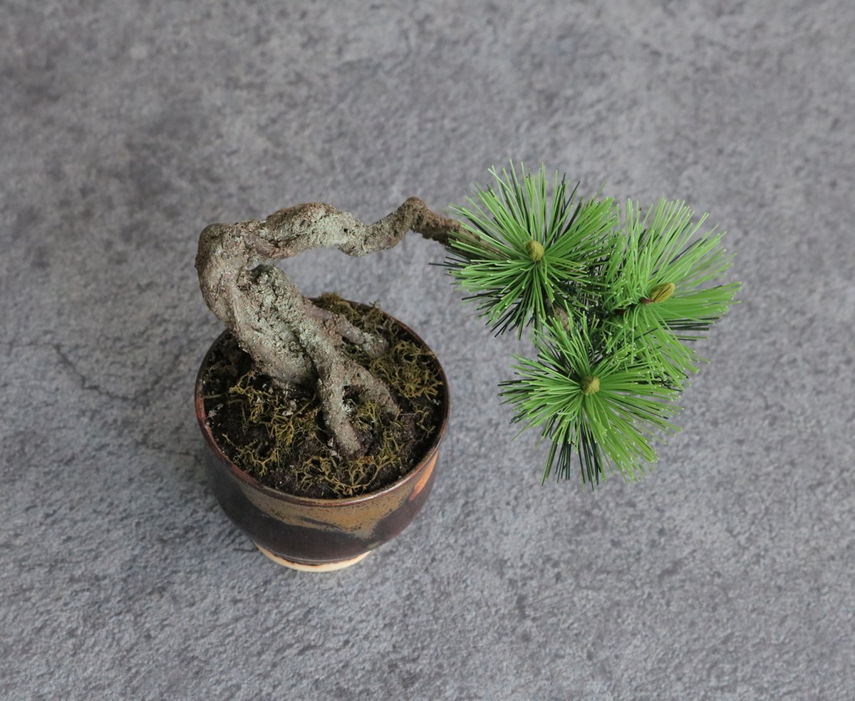 Oh_Bonsai's tweet photo. 手のひらサイズの #松盆栽（生でなく手作り品）。オリジナル鉢が完売のため、今回は3点（画像３枚目👉）から選んでいただいた鉢と合わせての制作に♪ https://t.co/iZWXtcTapr

山口の女性の元へ心を込めてお届け💗
お手入れフリーでずっと枯れることがないので、長く楽しんで頂けますように♪
#bonsai https://t.co/FtAO8dkOAa