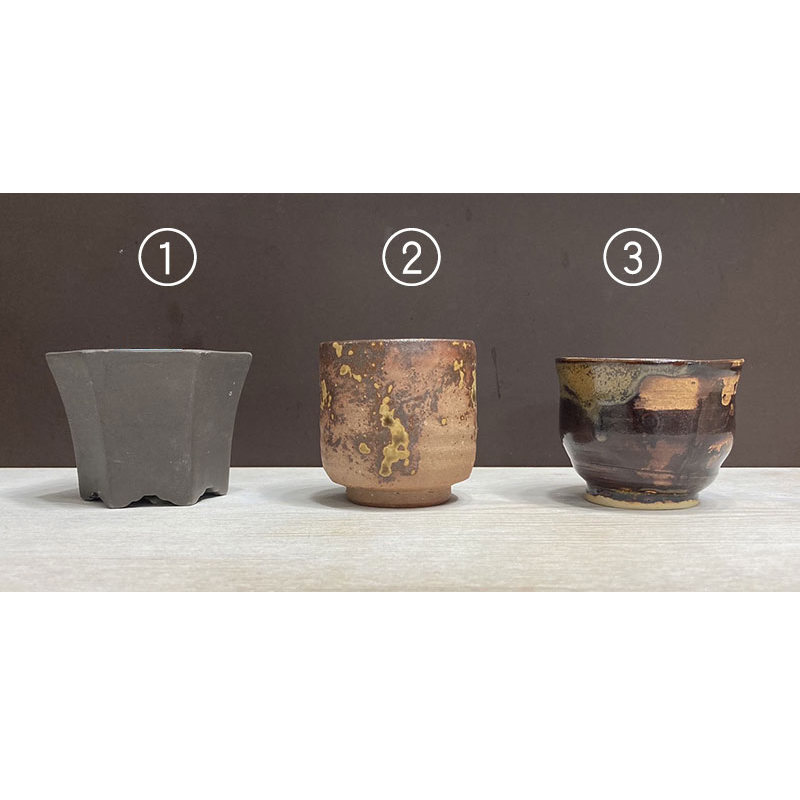 Oh_Bonsai's tweet photo. 手のひらサイズの #松盆栽（生でなく手作り品）。オリジナル鉢が完売のため、今回は3点（画像３枚目👉）から選んでいただいた鉢と合わせての制作に♪ https://t.co/iZWXtcTapr

山口の女性の元へ心を込めてお届け💗
お手入れフリーでずっと枯れることがないので、長く楽しんで頂けますように♪
#bonsai https://t.co/FtAO8dkOAa