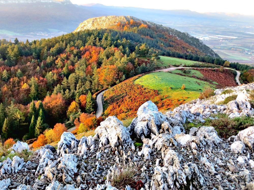 Álava Turismo tweet media