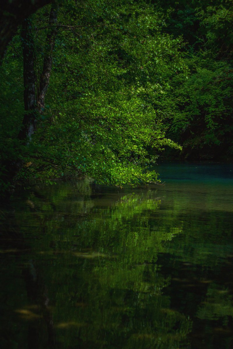 xontrikaiasximi's tweet photo. π The fairy land π
Voidomatis, 29/06/2024
#voidomatis #zagori #zagorochoria #epirus #Greece #forest #river #vikosaoosnationalpark #green #photography #photooftheday #photographylovers #photographyisart #lightroom #nikon #nikond3100 https://t.co/mEOF5sxjhn