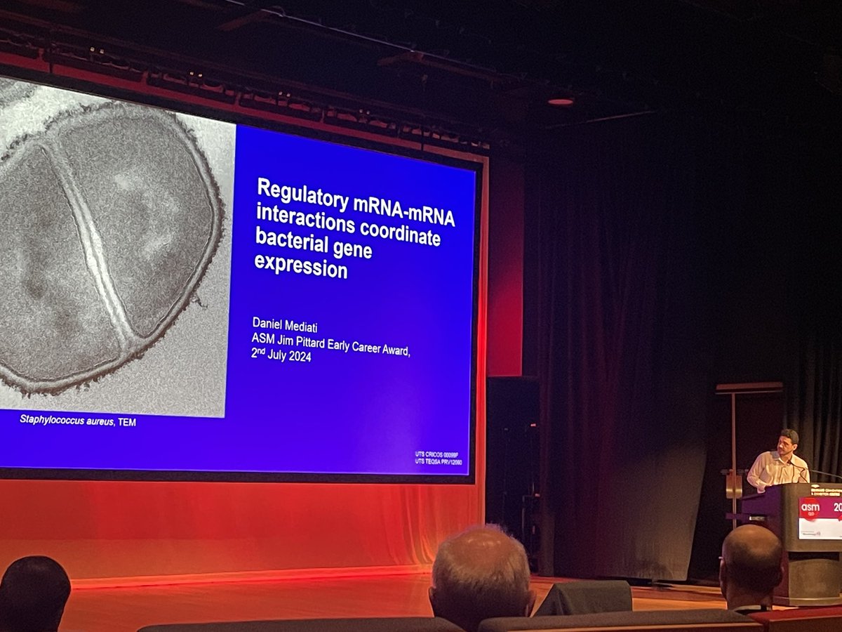 ASM (@aussocmic) on Twitter photo Our last Jim Pittard awardee <a href="/danmed/">Daniel Mediati</a> describing his research on how mRNA-mRNA interactions co-ordinate bacterial gene expression #ASM2024 Our last Jim Pittard awardee <a href="/danmed/">Daniel Mediati</a> describing his research on how mRNA-mRNA interactions co-ordinate bacterial gene expression #ASM2024