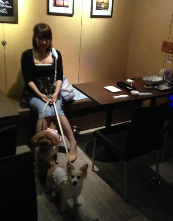 yuna_chil's tweet image. 大好きだった宝物❤️
くるみとデル🐕🐩
カメラとママが大好きっ子達でした
くるみ19歳と５日、デル17歳と1ヶ月で🌈へ
七夕の願い、2人にまた会えますように✨✨