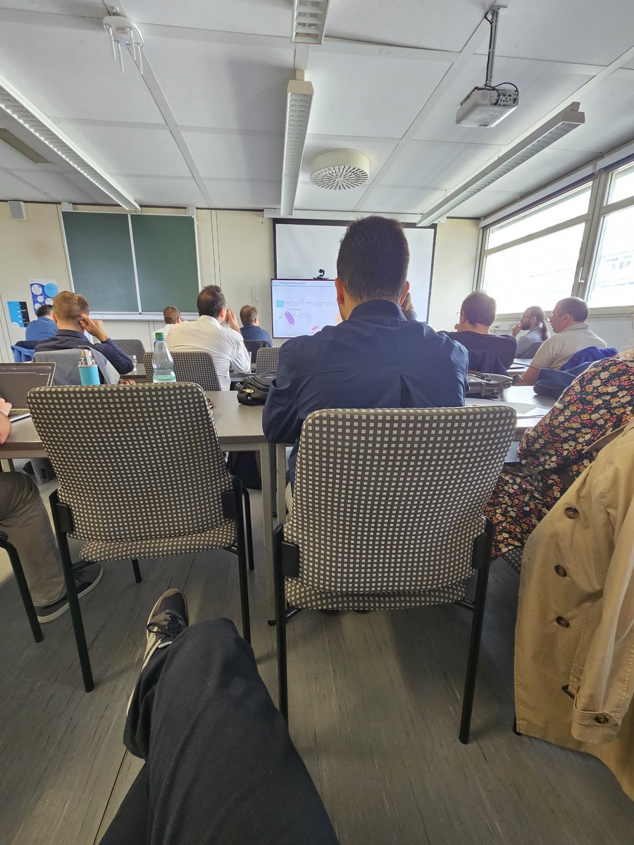 Here is Ramon following a presentation of another PhD. student at ALTEMAT workshop.