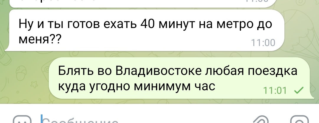 kooky_shpooky's tweet photo. Удивляюсь меркам расстояния у москвичей. «До тебя 30 минут на метро, как жаль, что мы никогда не увидимся. Прощай». Мои хорошие, я во Владивостоке 8 км до работы еду час зажатый стоя в дёргающемся автобусе. Спуск в метро для меня каждый раз как праздник. https://t.co/I8e2h3J2ab