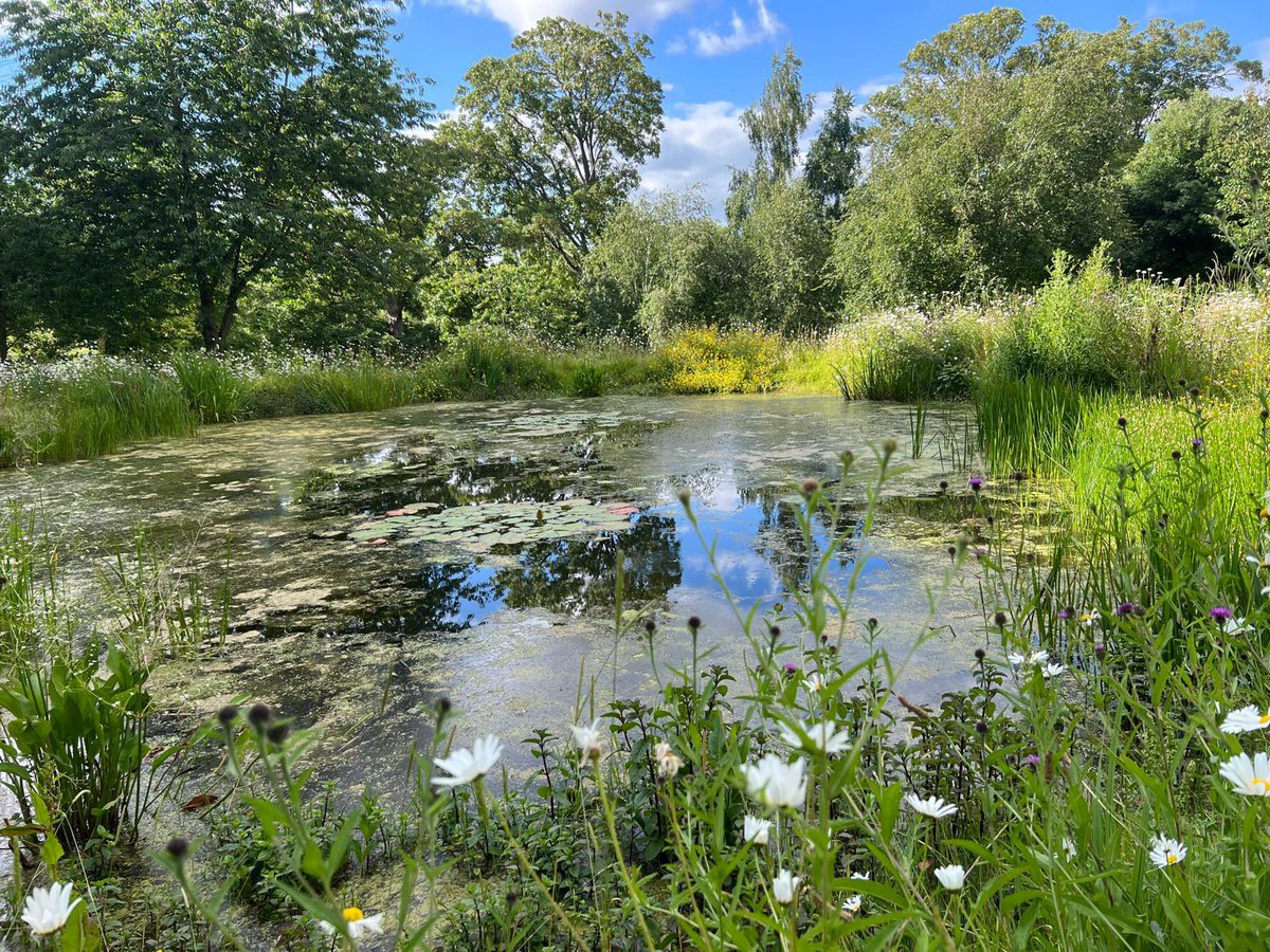 Alastair Driver tweet media