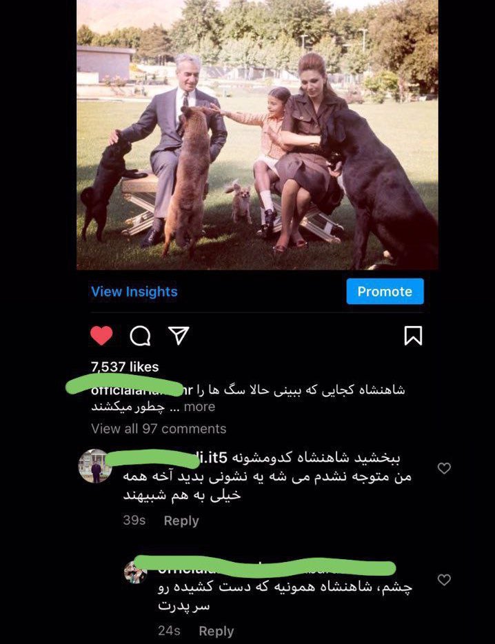 جرخوردم جدی