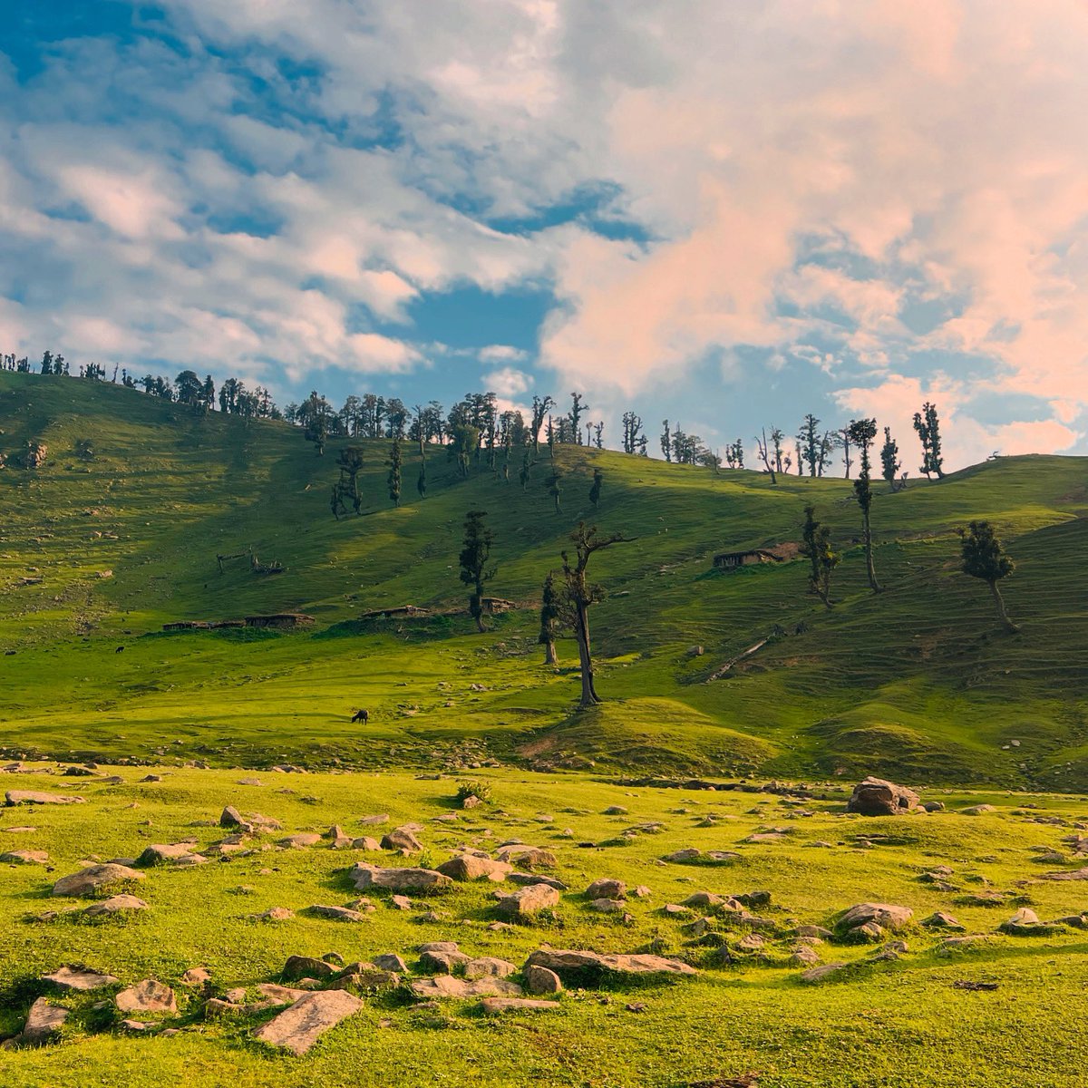 Mahu valley - The unexplored paradise tweet media