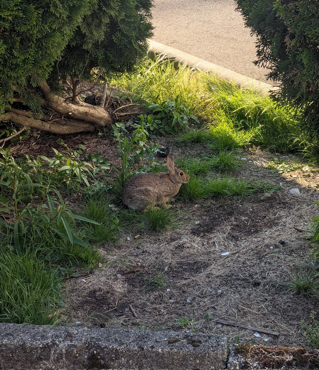 Sabotage_604 tweet media