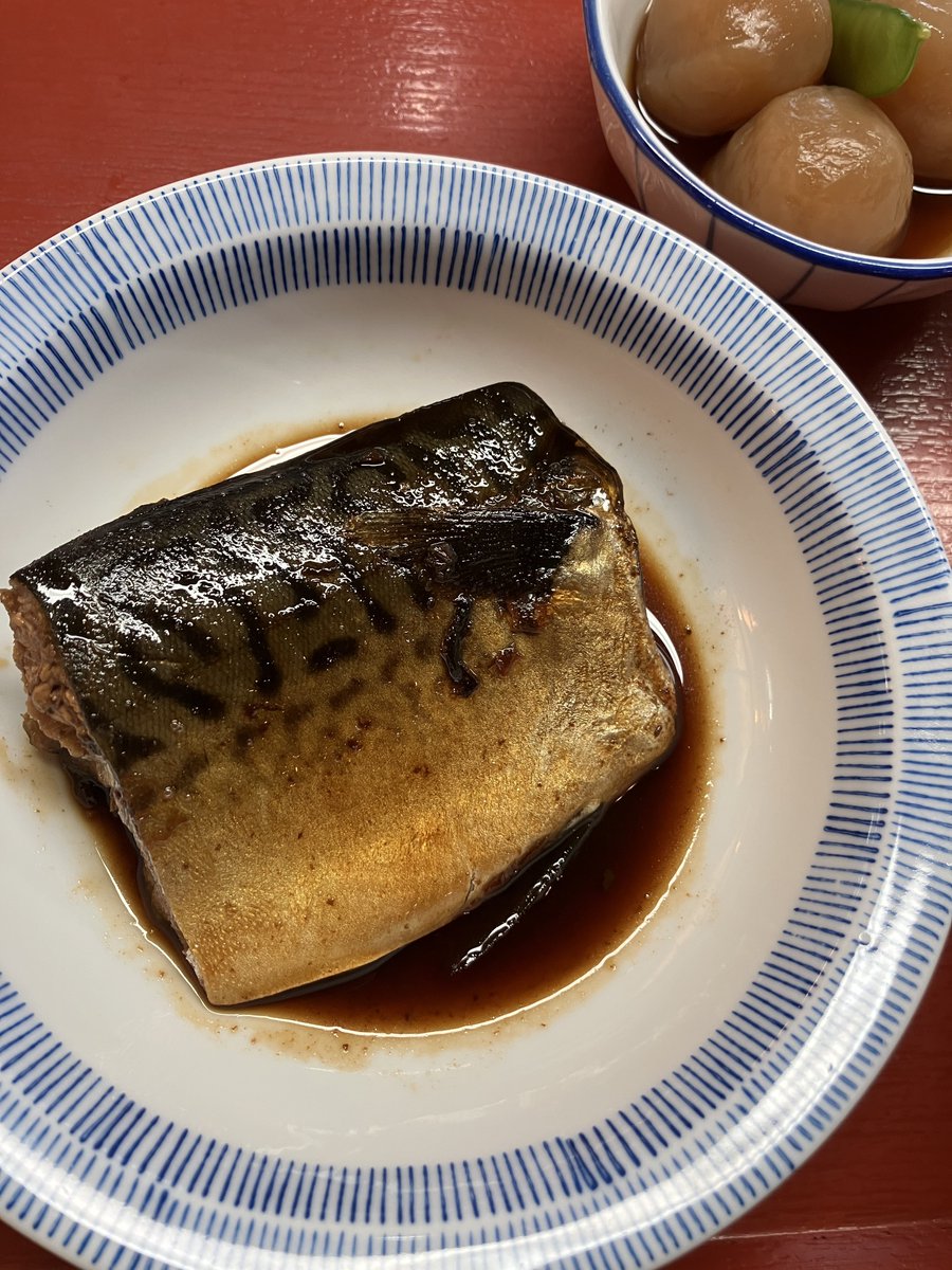 ゆかりんランチ
サバの煮つけ
日曜の #ブラックジャック に引きづられBJの中でも一番好きな「上と下」の漫画めしを
社長と土工の命を繋ぐ友情に身分の上下はない、BJは医療漫画というか人情漫画だなあと再確認するお話 