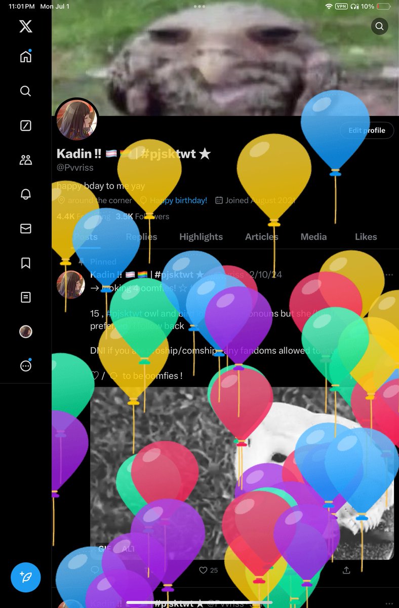 Pvvriss's tweet photo. yay balloons https://t.co/nFIfXKPwWg