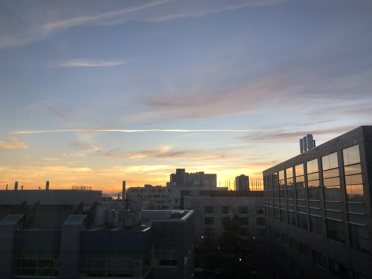 Janel Kopp tweet media