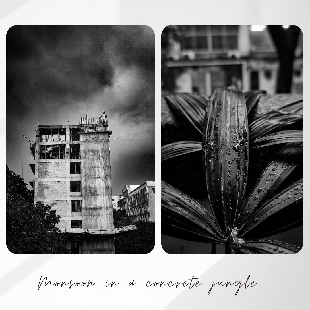 Monsoon in a concrete jungle. 

.
.
.

#mobilephotography #oneplus9 #monsoon #rain #blackandwhitephotography #bnw #urban #urbanlife #nature #photocollage #photography #clouds #dhaka