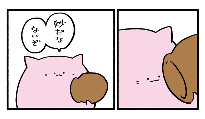 #ボーナス 欲しいな～(切実に)

#ねこもどき 
