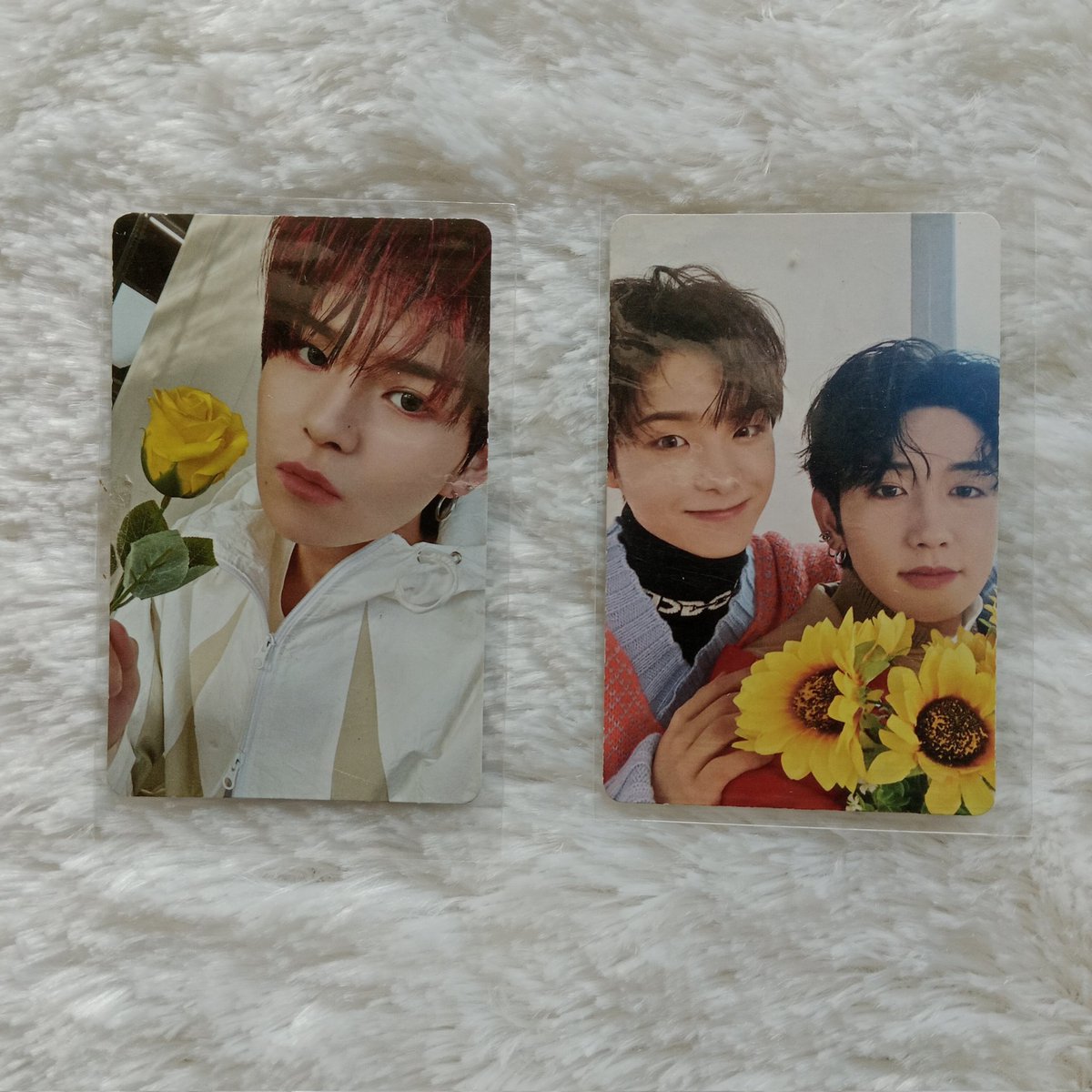 woosthing's tweet photo. 𐙚 ֹ 𝅄 ꒰ WTS — Want To Sell

𖹭 offer
𖹭 full co shopee
𖹭 cek condi
𖹭 dom jatim

﹙photocard treasure pop up jikjin hyunsuk yoshi jaehyuk yedam exo chen cream soda jisung haruto nct 127 md anniversary tincase yuta johnny taeil﹚ https://t.co/Vi9ne1UByz