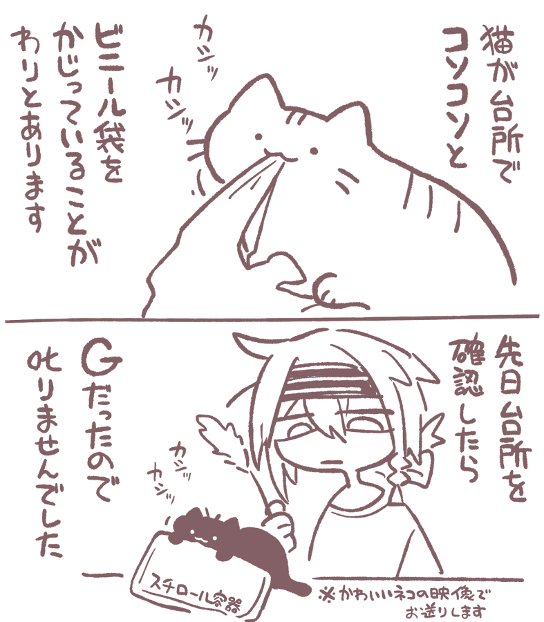 近況 