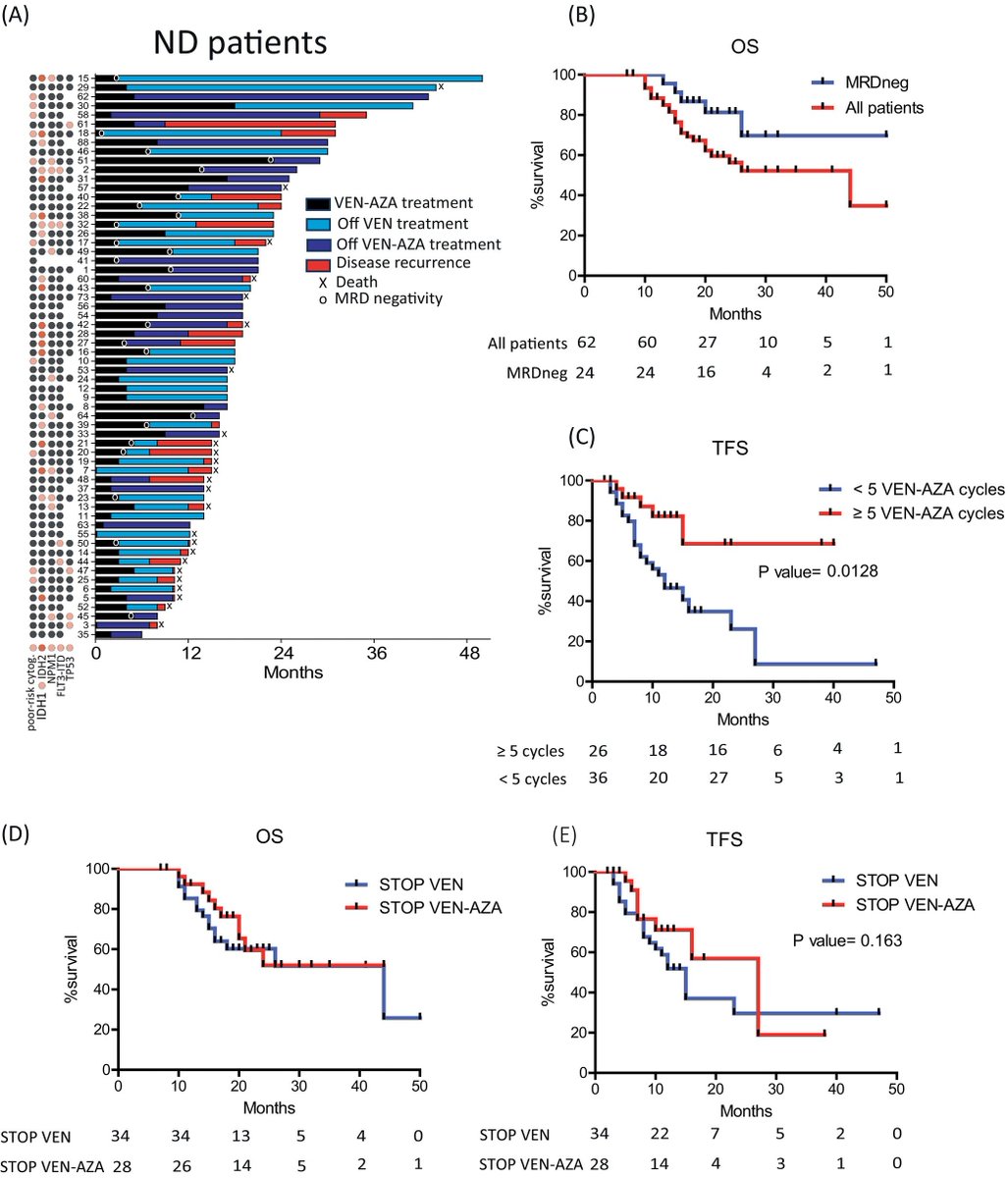 Outcomes of acute myeloid leukemia patients who responded to venetoclax and azacitidine and stopped treatment 
Open access: doi.org/10.1002/ajh.27…
#LeuSM #AML