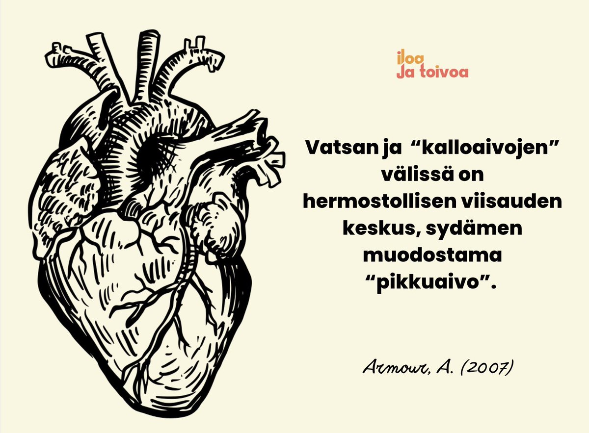 Hyvinvointi edellyttää sydänvaivojen, suolistoaivojen ja pään aivojen tehokasta yhteistyötä. Lue lisää blogistani: iloajatoivoa.fi/blogs/sydanyht… #IPNB #traumainformoitu #sydänyhteys #sydänaivot
