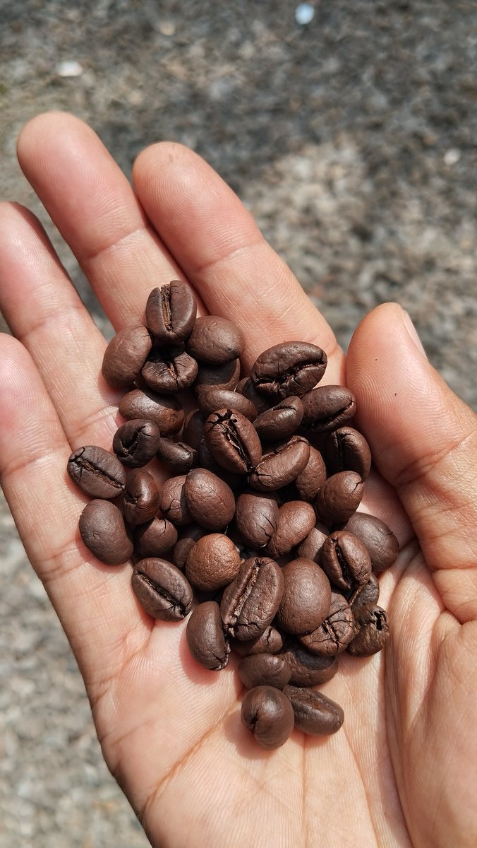 umatammm's tweet photo. Yang kopi yang kopi yang kopi https://t.co/TnSULF8LcN