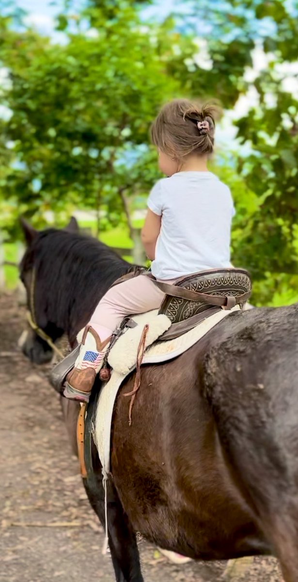 melanyr_12's tweet photo. Soy una Mami orgullosa. Mi bebé de 2 añitos montando una yegua sin que la agarrara su maestra, ella quería ir sola. Con tan solo su 3ra vez montando🥹 te amo mi muñeca, eres increíble https://t.co/T9EcBJvCMk