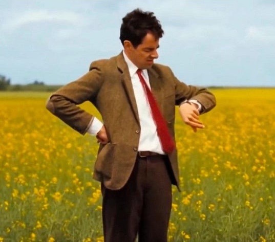 Entire SEO industry rn