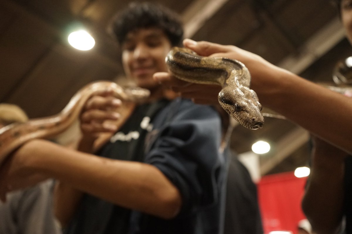 AZPROVIDEO's tweet photo. Pet fair https://t.co/XLiStgiHBc