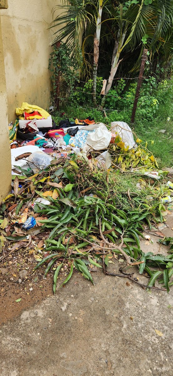SagarikaRay13's tweet photo. @bmcbbsr this has been lying in front of Qrs no 4R 5/1 since last 4 days. But no cleaning up by anyone from BMC till date. Why is it always have to tweet for these things. Doesn't it comes under everyday work of municipality workers? https://t.co/mWmE8moeDJ