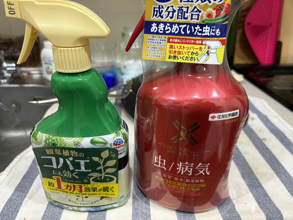 WickedCC tweet media