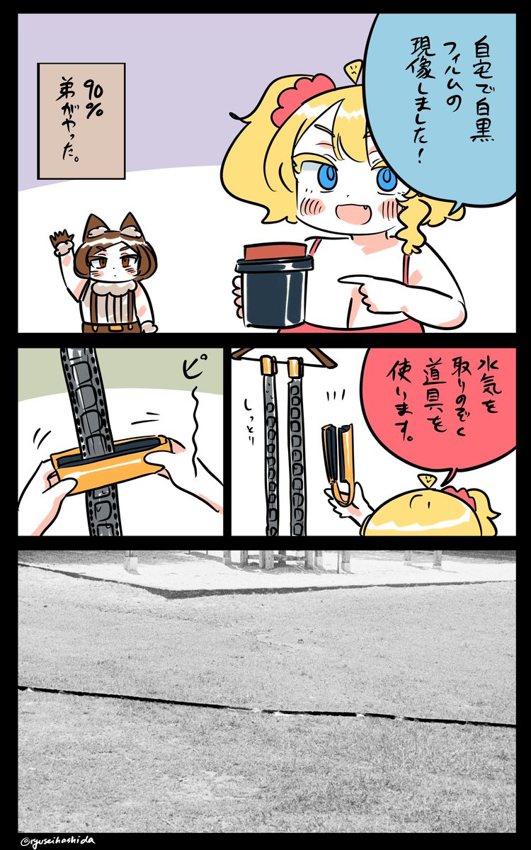 傷ついたフロリダちゃん日記です。 