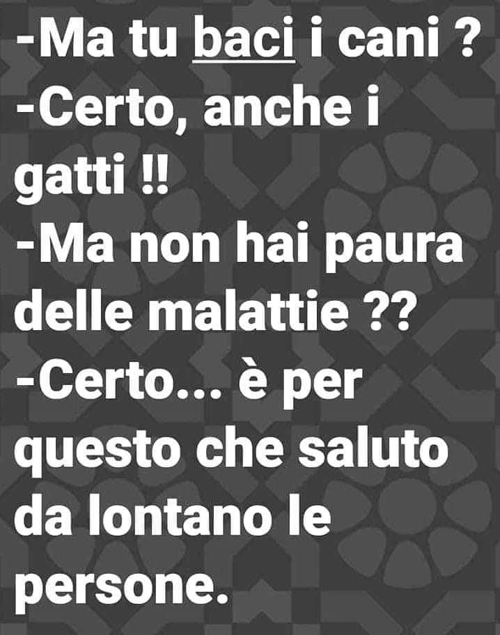 tiziana_55's tweet photo. Buongiorno a tutti 😅☕️🥐🫂🐾🐶🐈‍⬛😘🥰🤗🌻🫶🍀 https://t.co/GjOUNpsaEa