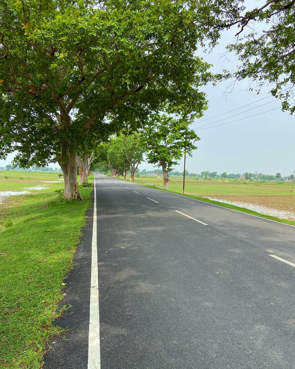 bhasa_magadh's tweet photo. औरंगाबाद के डग्गर 

Guess the Place Path???

#औरंगाबाद_जिला #औरंगाबाद_मगध #औरंगाबाद_बिहार #मगध #मगध_राज्य #मगही #मगही_भाषा #बिहार
#aurangabad #aurangabadjila #aurangabaddistrict #aurangabadmagadh #aurangabadbihar #magadh #magadhrajya #magadhstate #magahi #magahilanguage #Bihar https://t.co/xodcxqBgtq