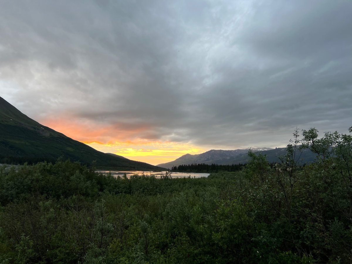 SustainedNorth's tweet photo. Small joys https://t.co/qTkZkOvFQP