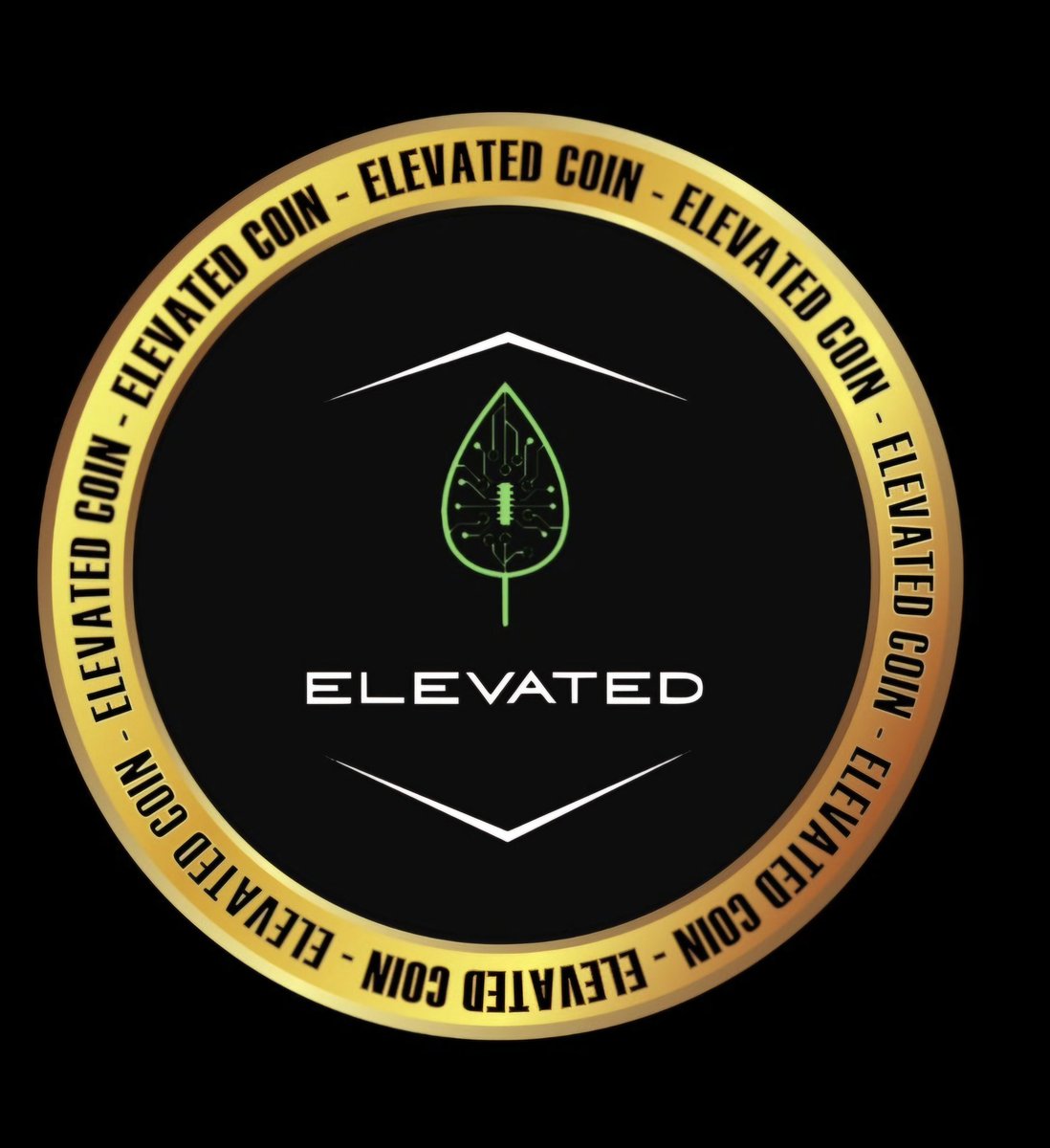 k82Gon's tweet photo. #elevatednations #elevated 
#elevatedmarketplace #elevatedNFTs #savagedogs #elevatedvisacard https://t.co/VnZDovwY0J