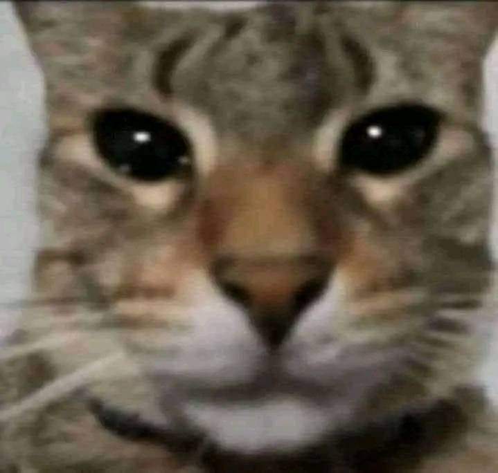 JustWR15 tweet media