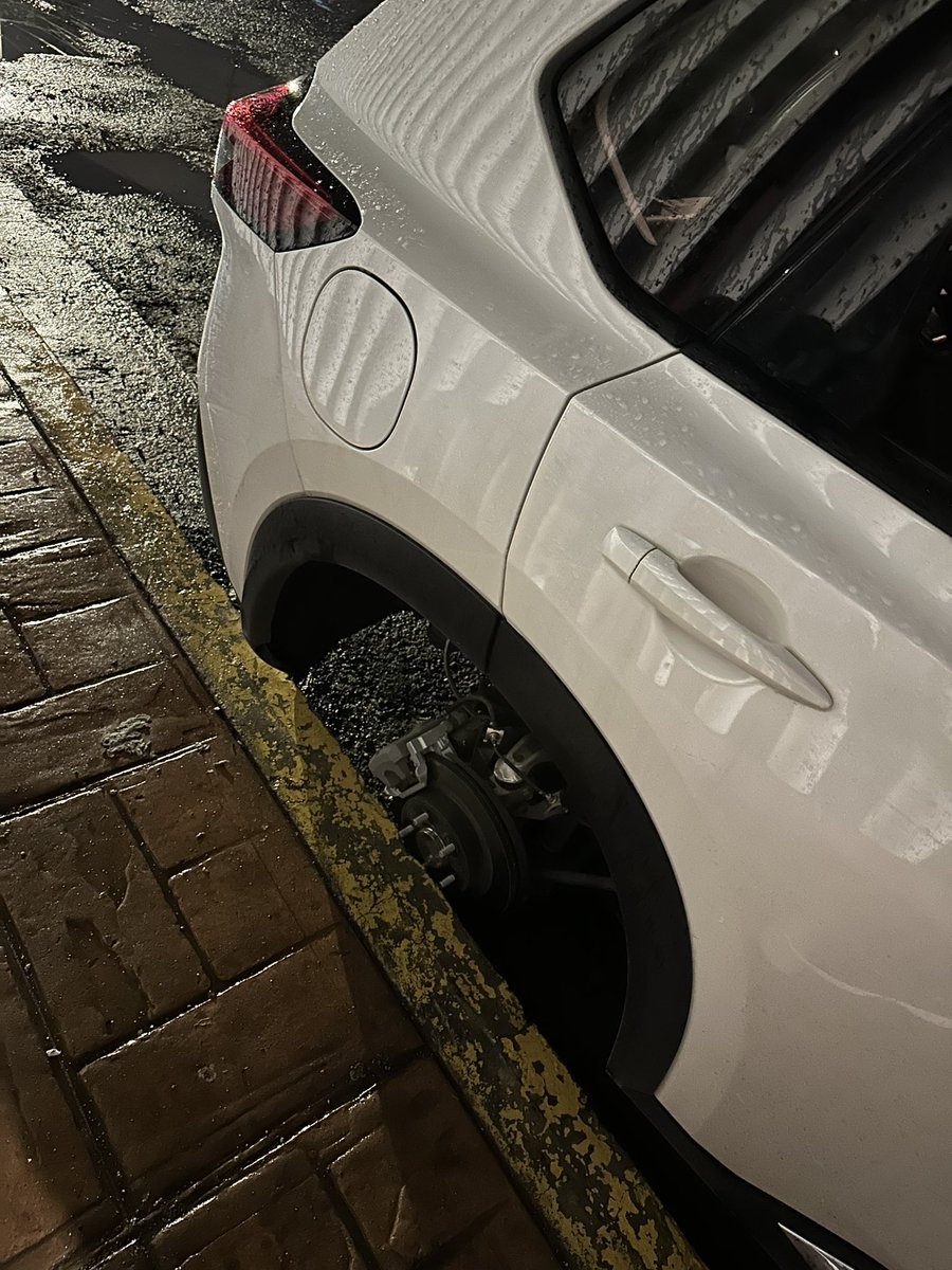 Alejandro De La Mora tweet media