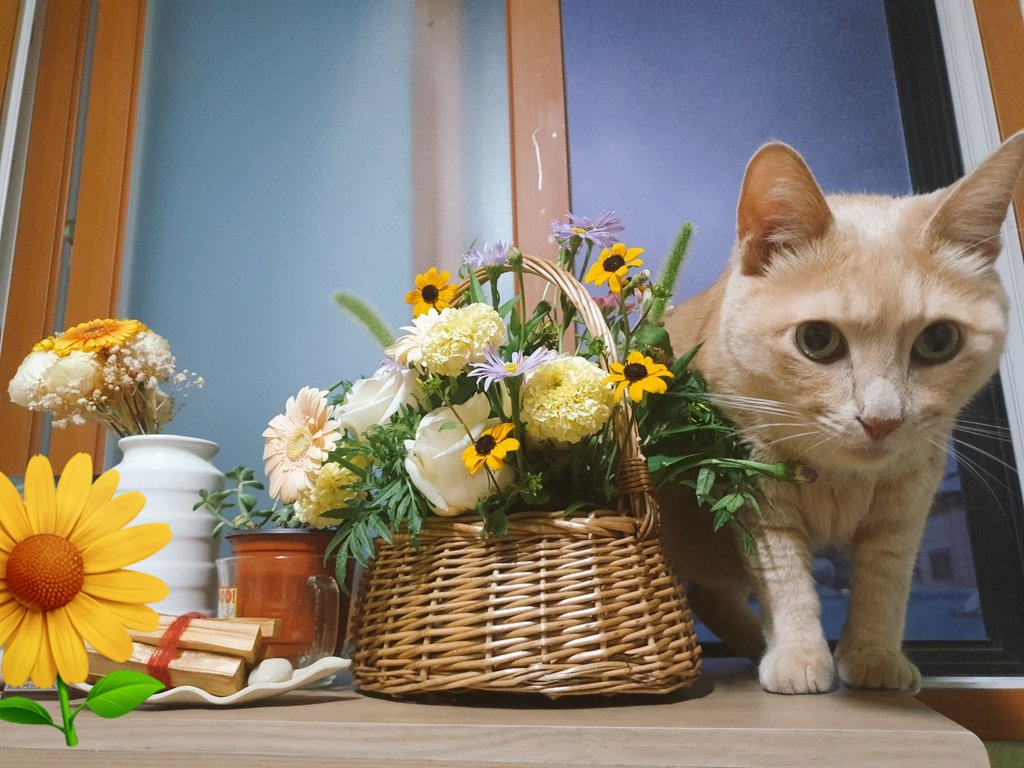 아키코키아 마지막 클래스~ 9년동안 수고하셧습니다 선물로 받은 프리저브드 플라워랑 화병도 넘 이뻐욧 감사합니다~~ <a href="/akikokia_flo/">아키코키아</a>