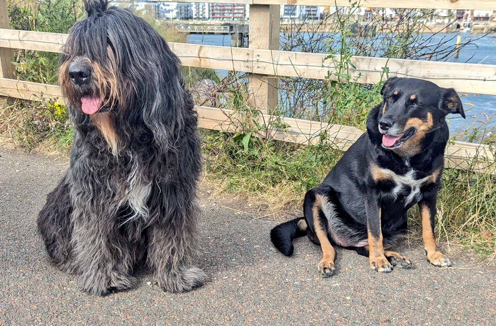 Rather arty #TongueOutTuesday shots this week.🐾💖👅
.