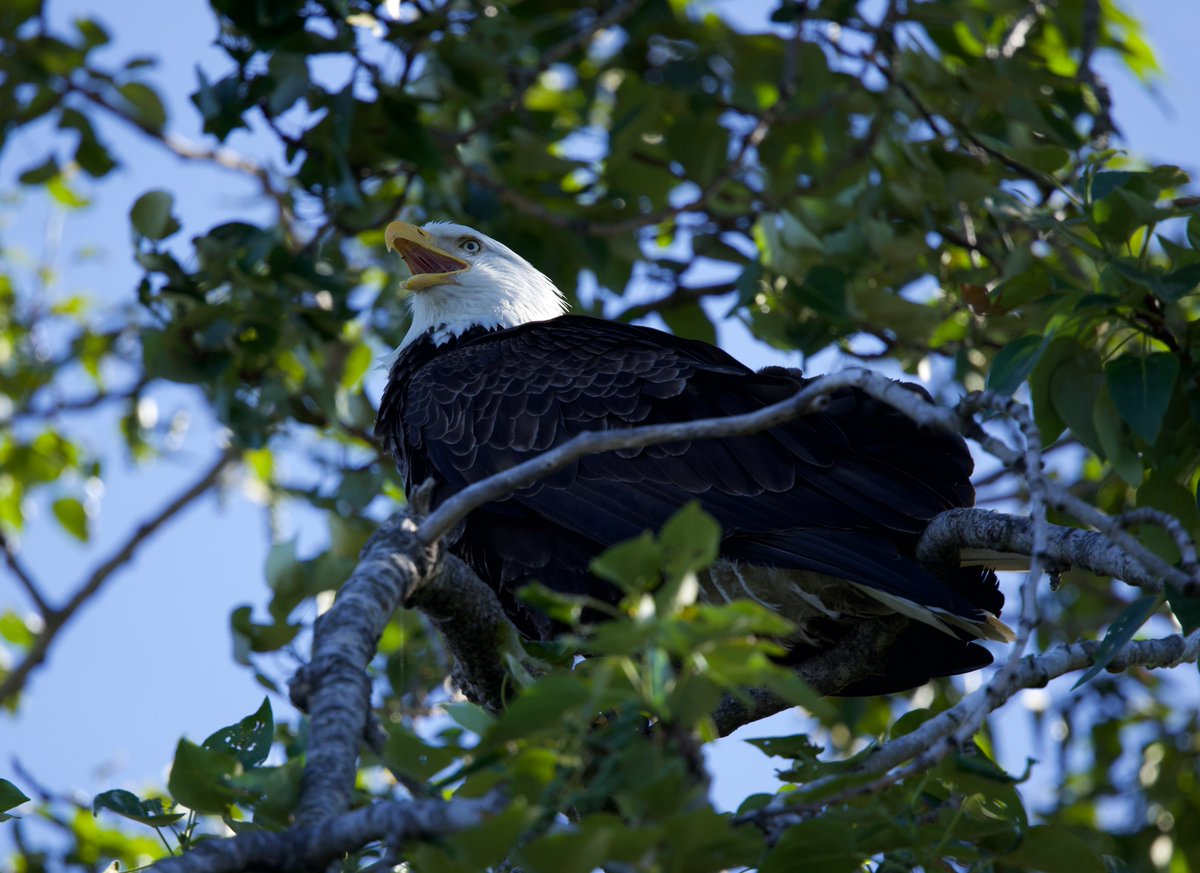 Jason Stefanides tweet media