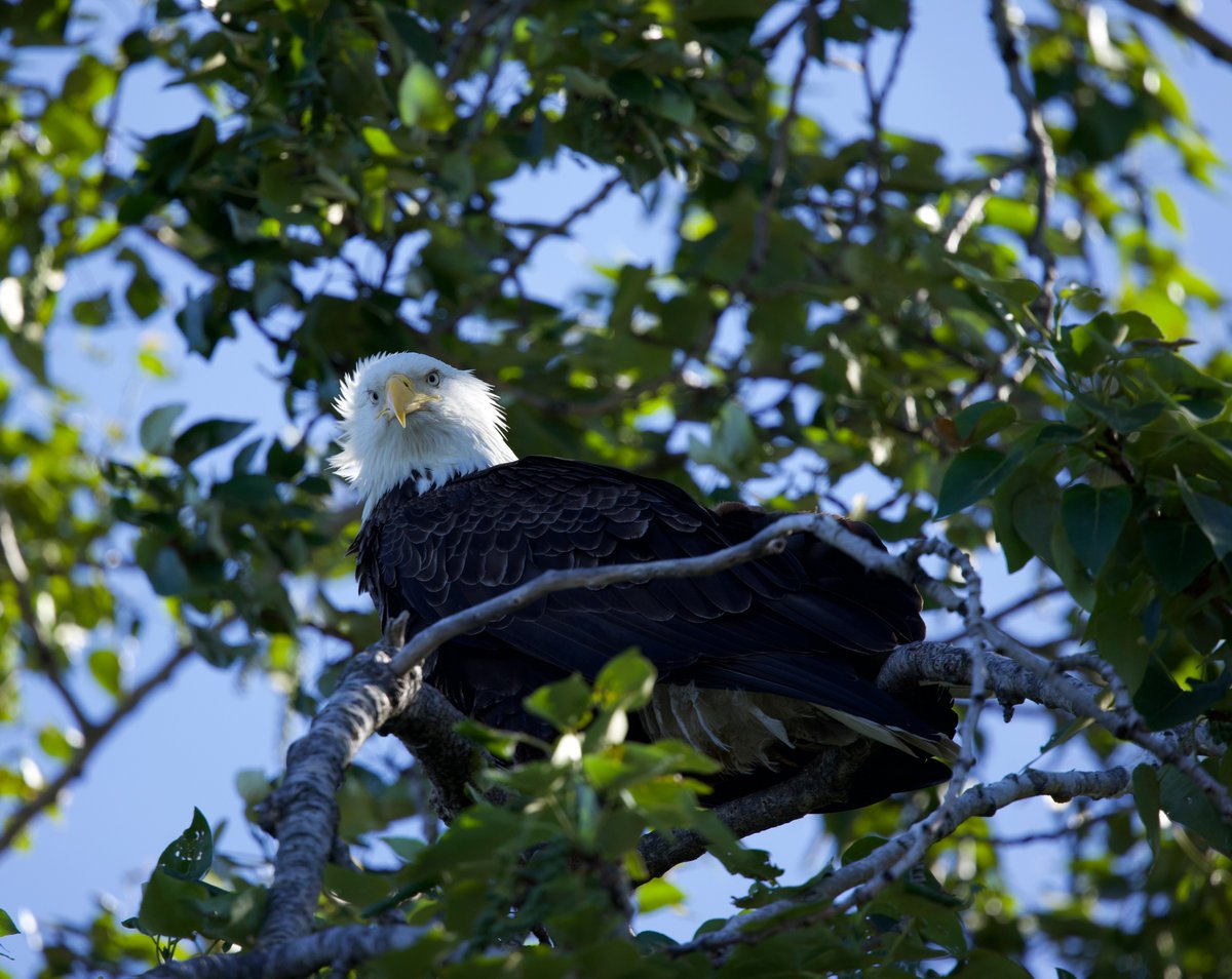 Jason Stefanides tweet media