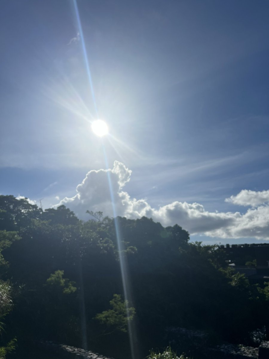 imissjamaica's tweet photo. いま夕方5時、職場出たところ
沖縄は本気の夏になってる!!
台風もめっちゃ来るって言うし
とりあえず明日から東京出張🗼
最近はそこまで待ち遠しくない(かも)
#OKINAWASTYLE #沖縄ごいごいすー https://t.co/JYqGQANdAy